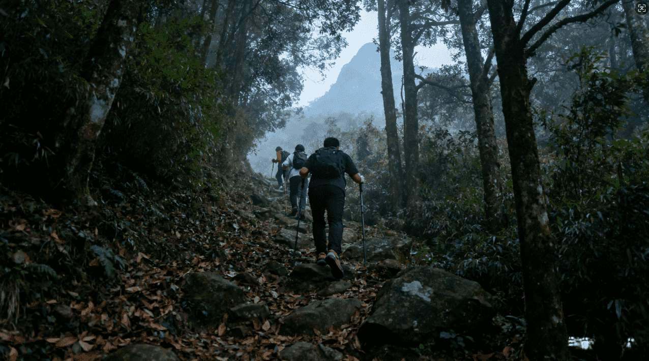雷霆加速器要卡密有哪些领取途径推荐
